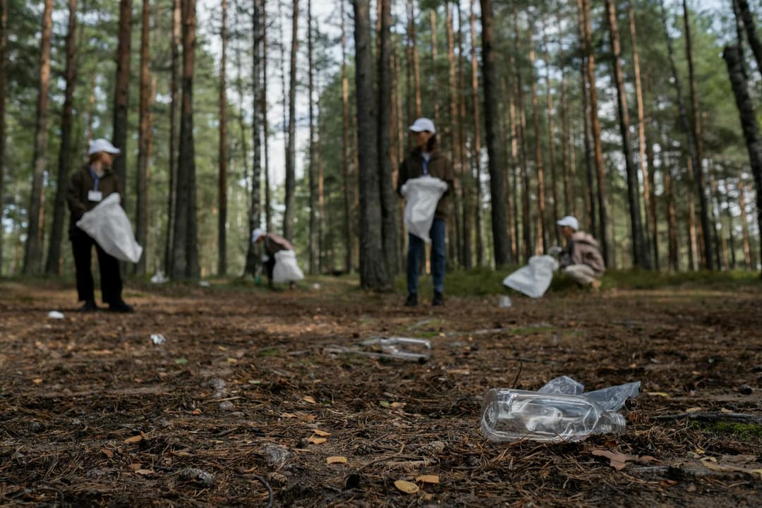 Environmental Conservation Fund